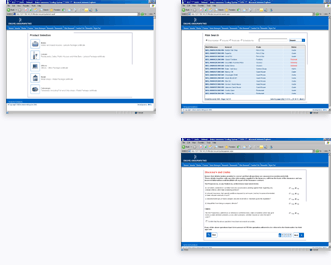 Online Underwriting screens